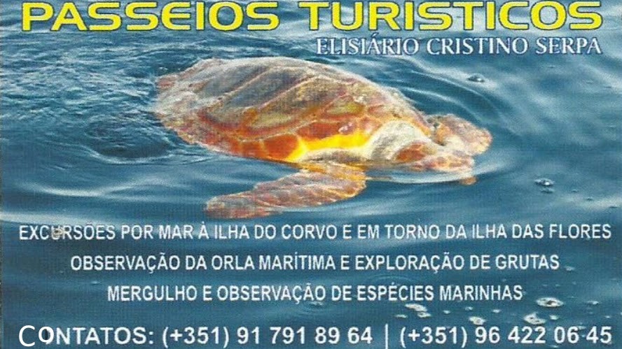 Voyages sur Corvo